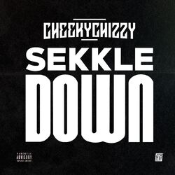 Cover of Sekkle Down