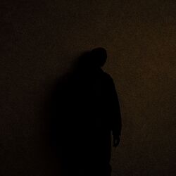 Cover of TOHLE (Instrumentals)