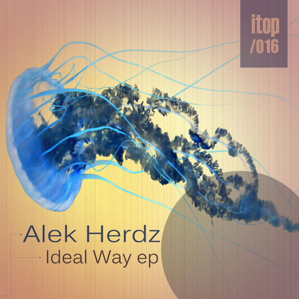 Picture of Ideal Way