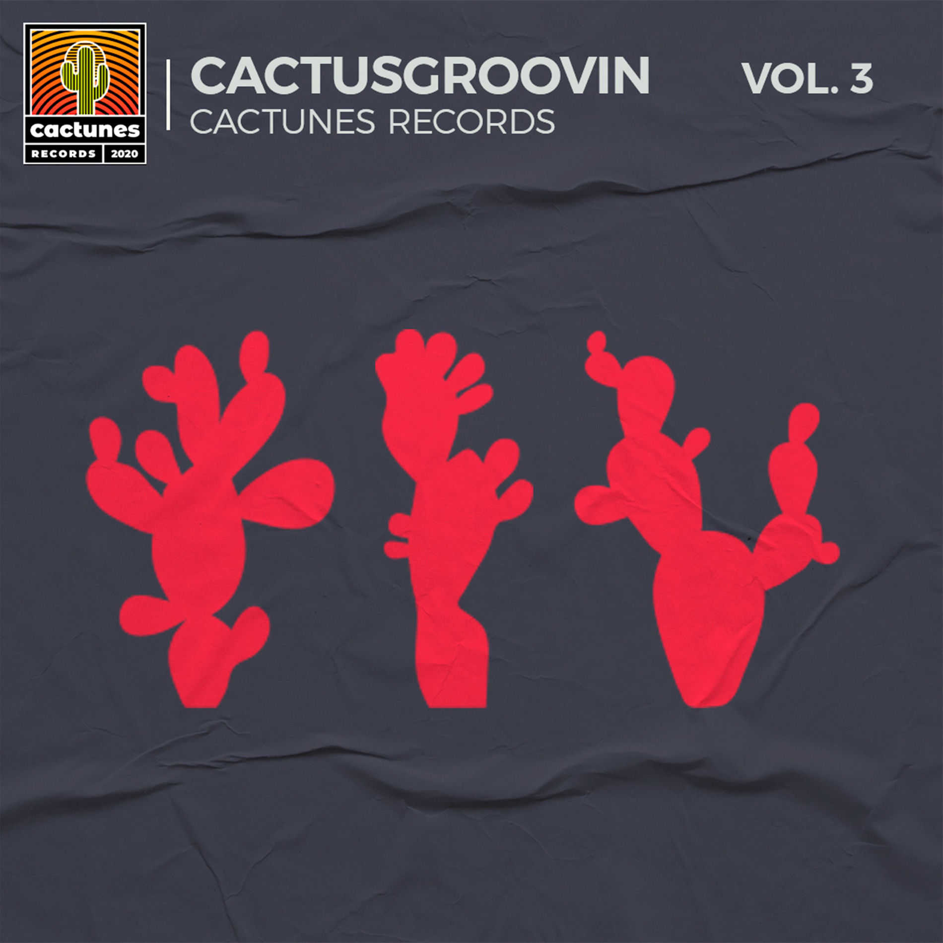 Album cover of V.A. Cactusgroovin, Vol. 3