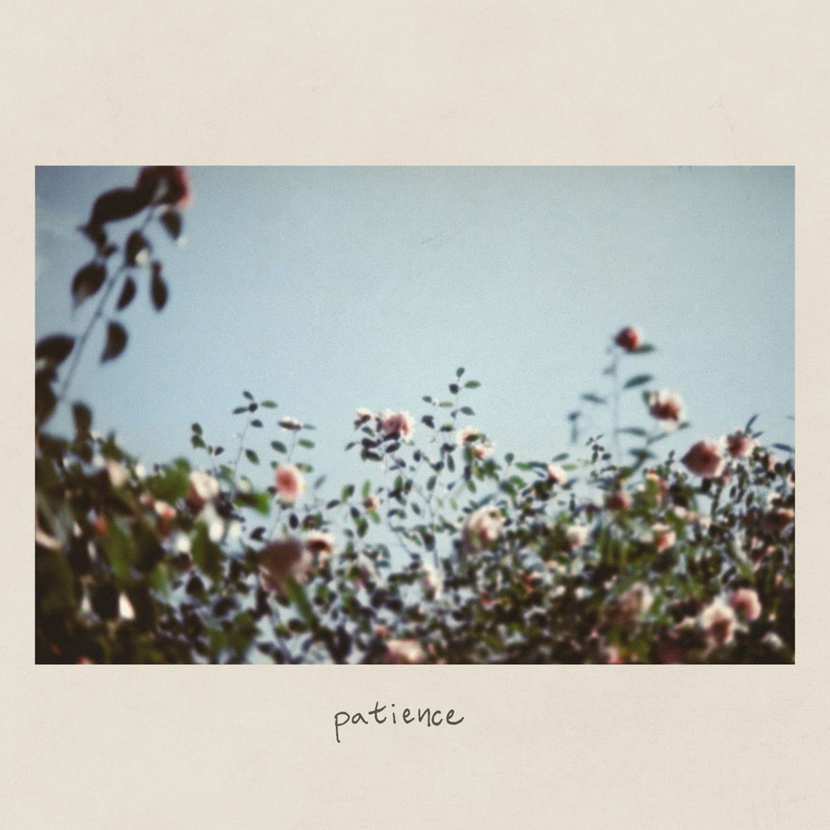 Album cover of Patience