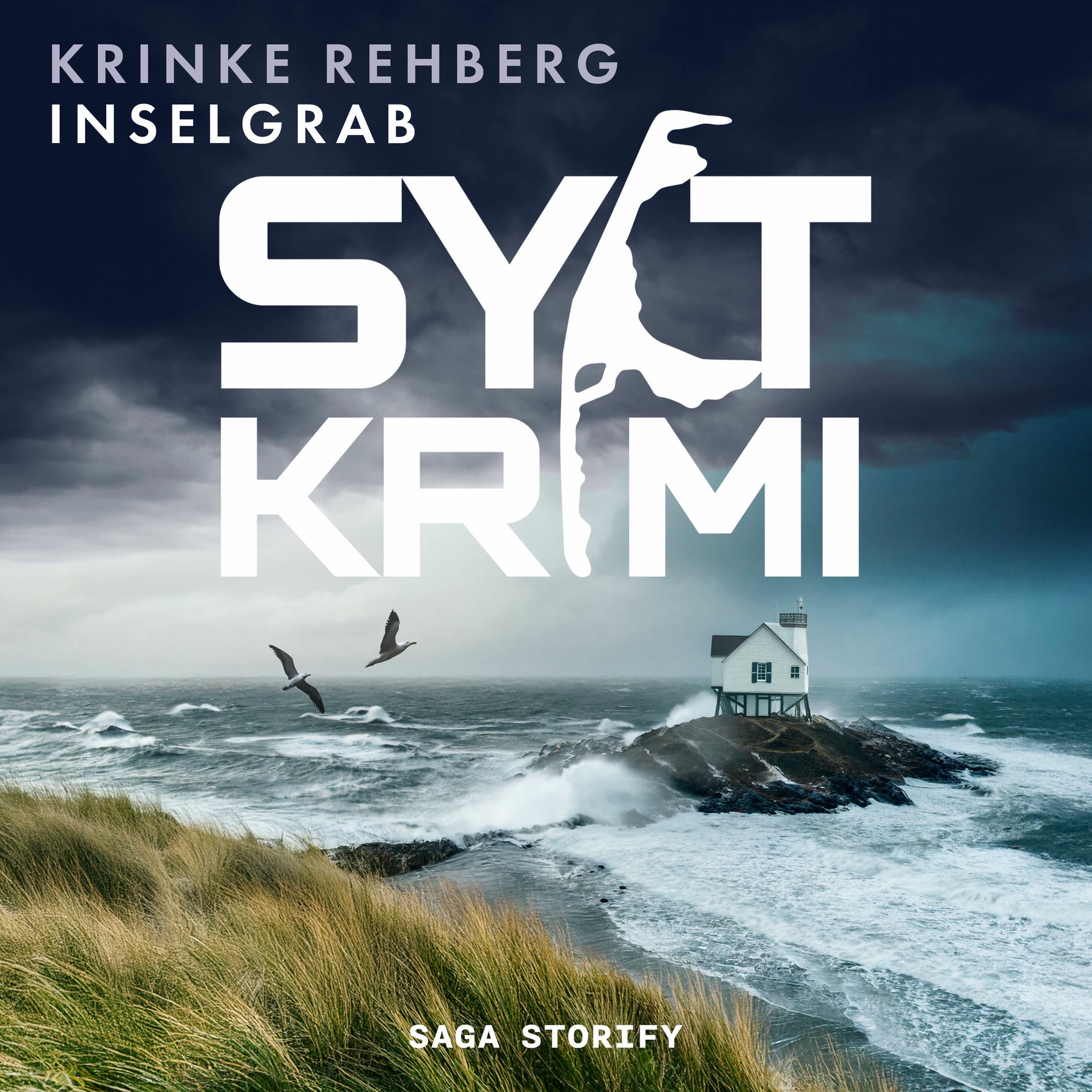Album cover of Kapitel 01 - SYLTKRIMI Inselgrab - Küstenkrimi: Nordseekrimi