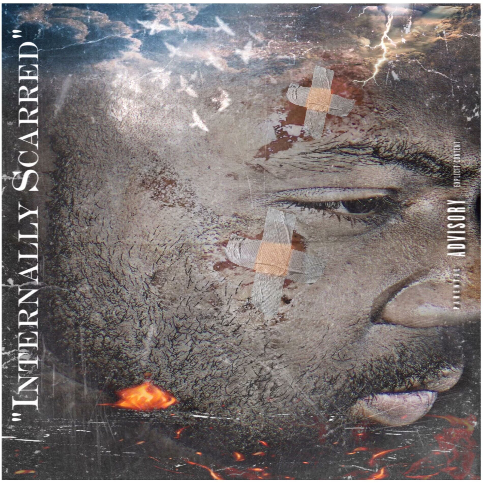 Album cover of Internally Scarred