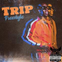 Cover of Trip Freestyle