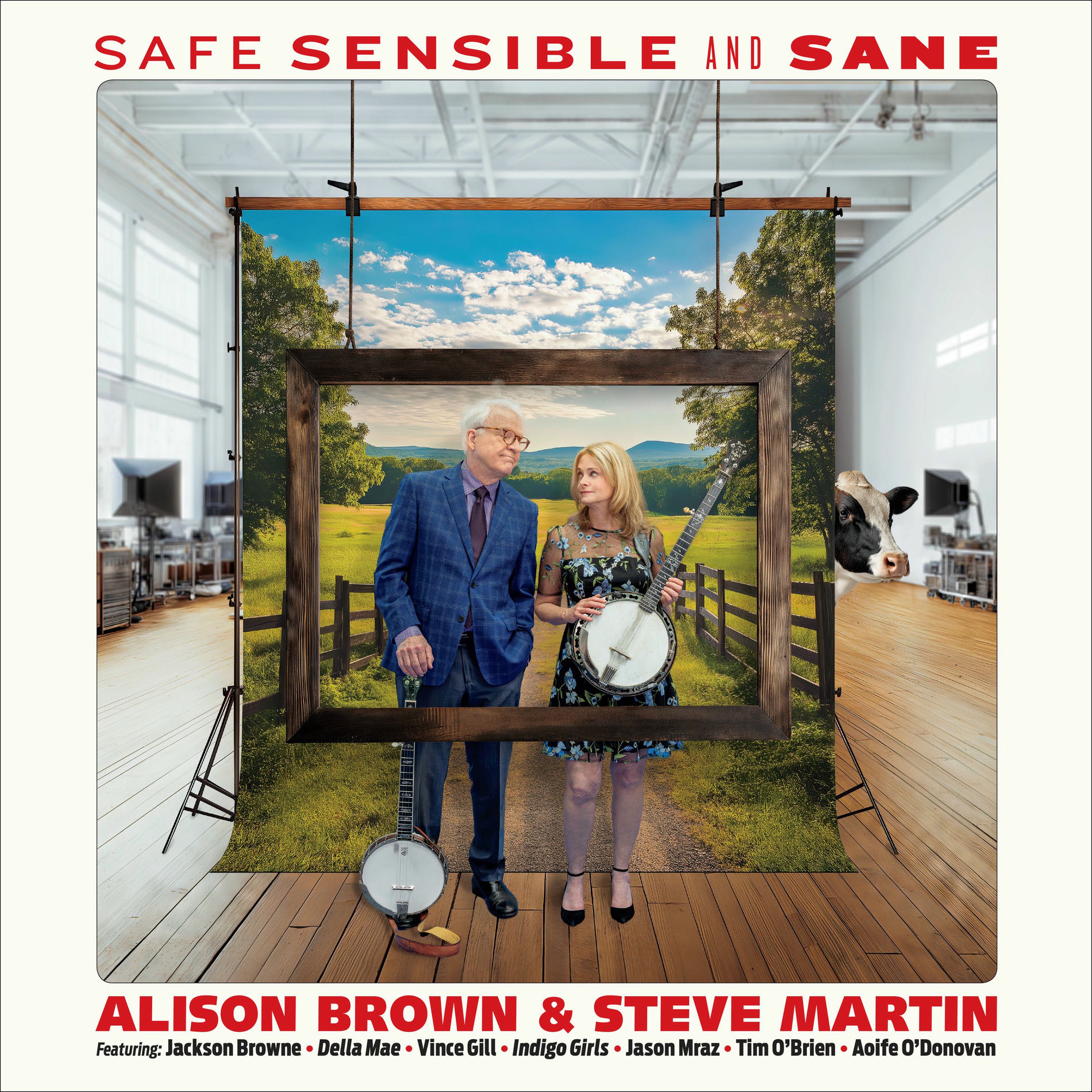 Album cover of Safe, Sensible And Sane