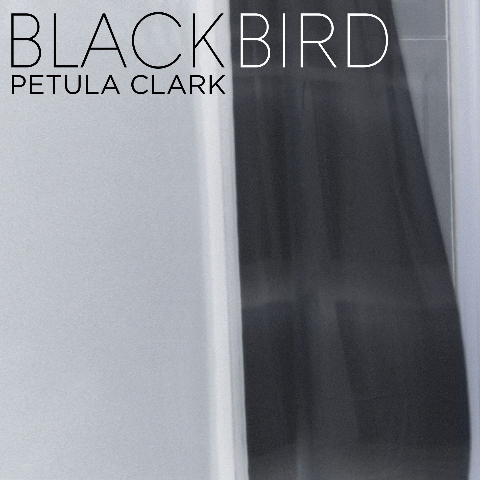 Album cover of Blackbird