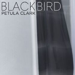 Blackbird