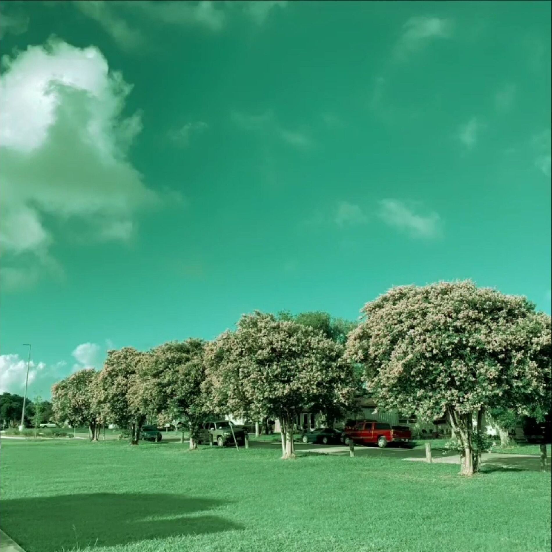 Album cover of GREEN