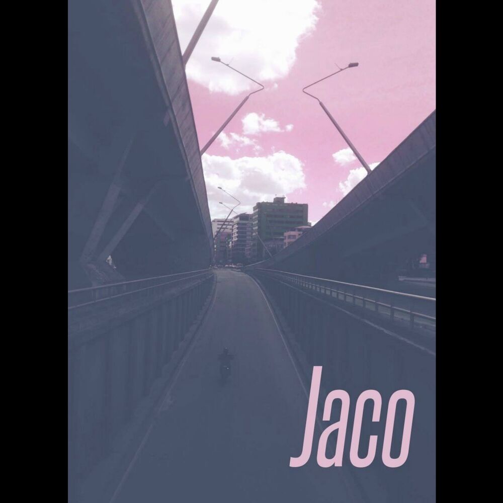 Picture of Jaco