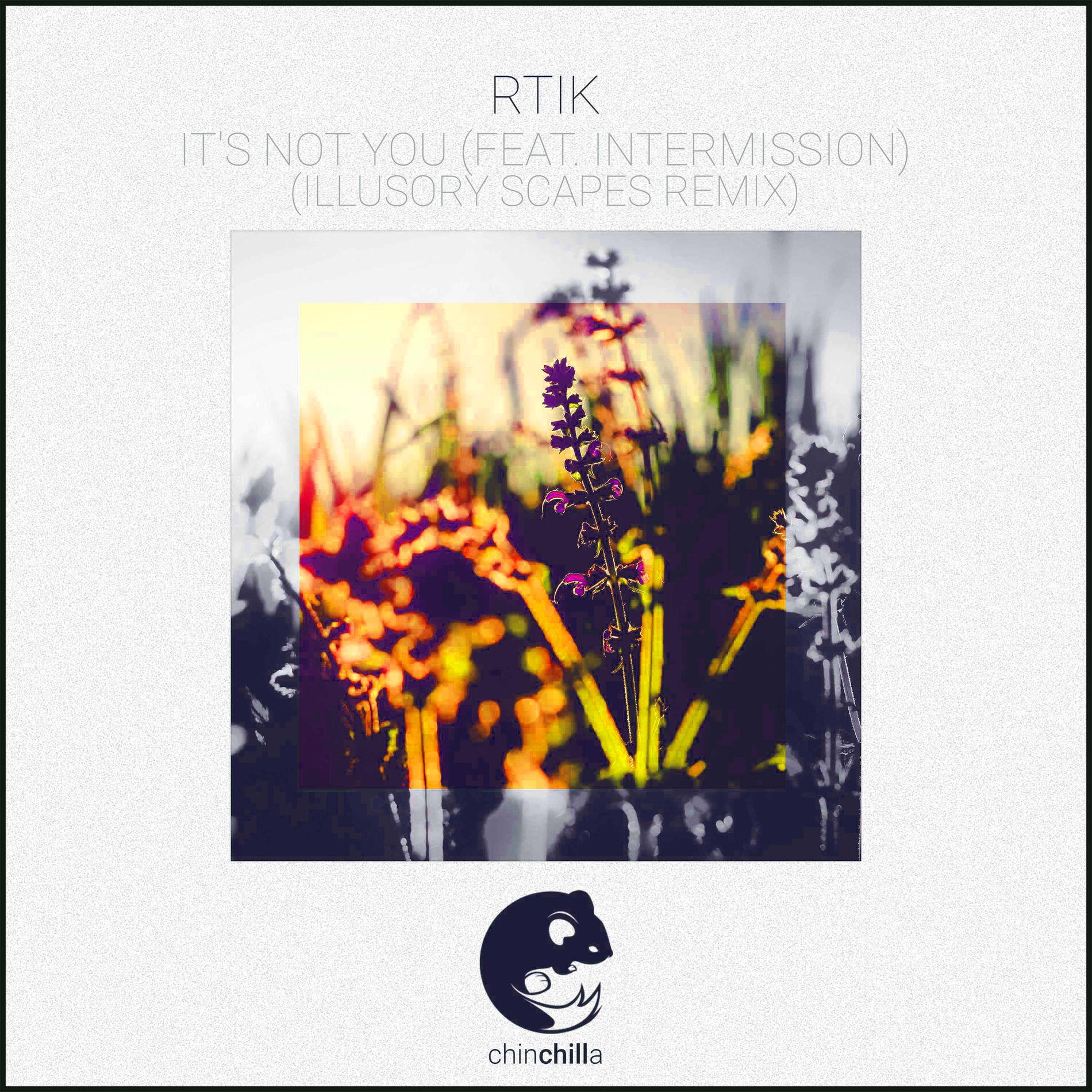 Album cover of It's Not You (feat. Intermission) [Illusory Scapes Remix]