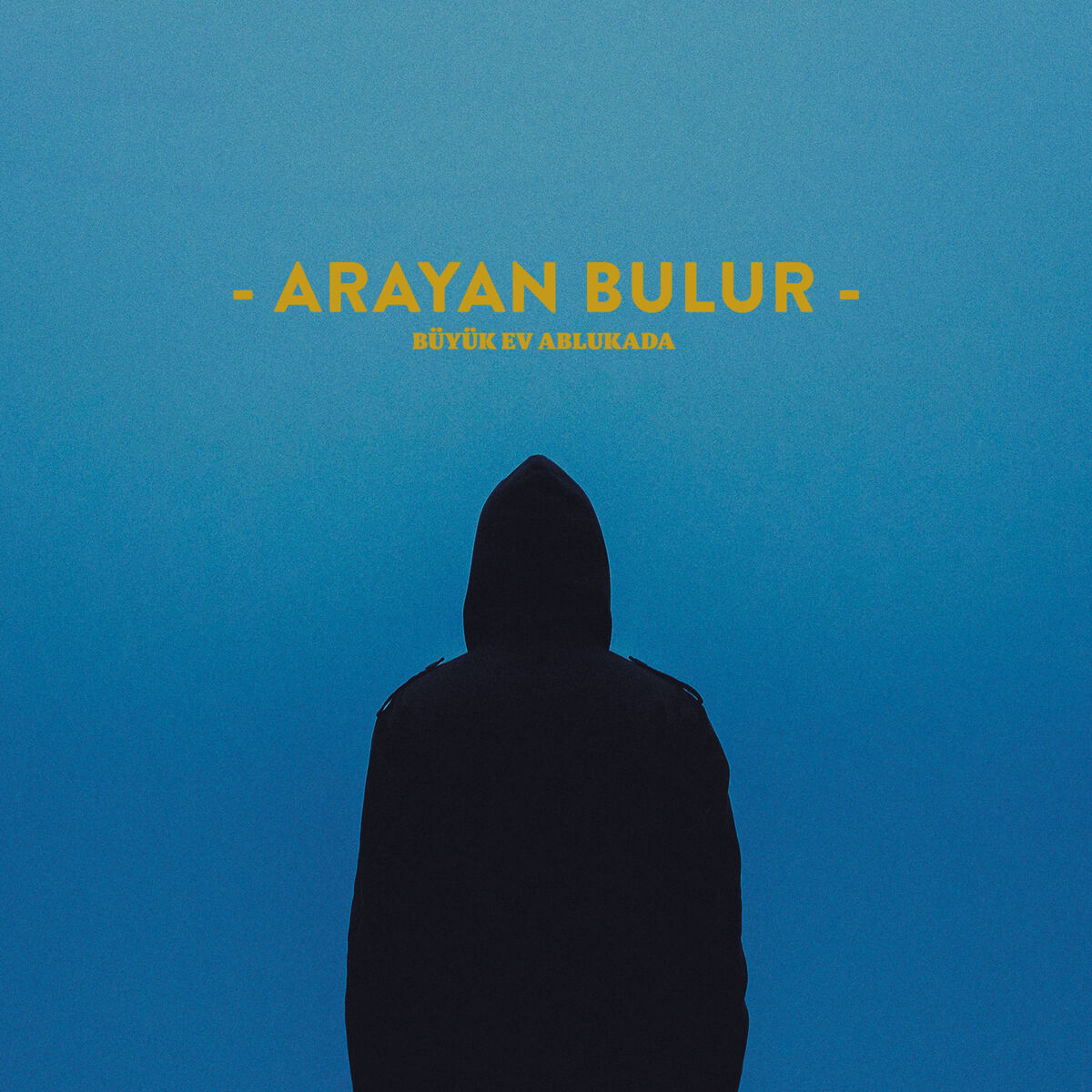 Album cover of Arayan Bulur