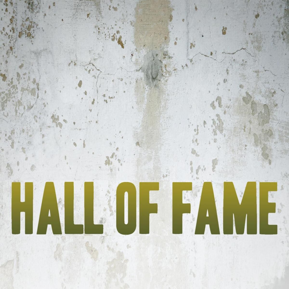 Album cover of On The Walls Of The Hall Of Fame, Hungry Hearts, Let Me Love You (The Script feat. will i am, Nause, NeYo Covers, Etc)