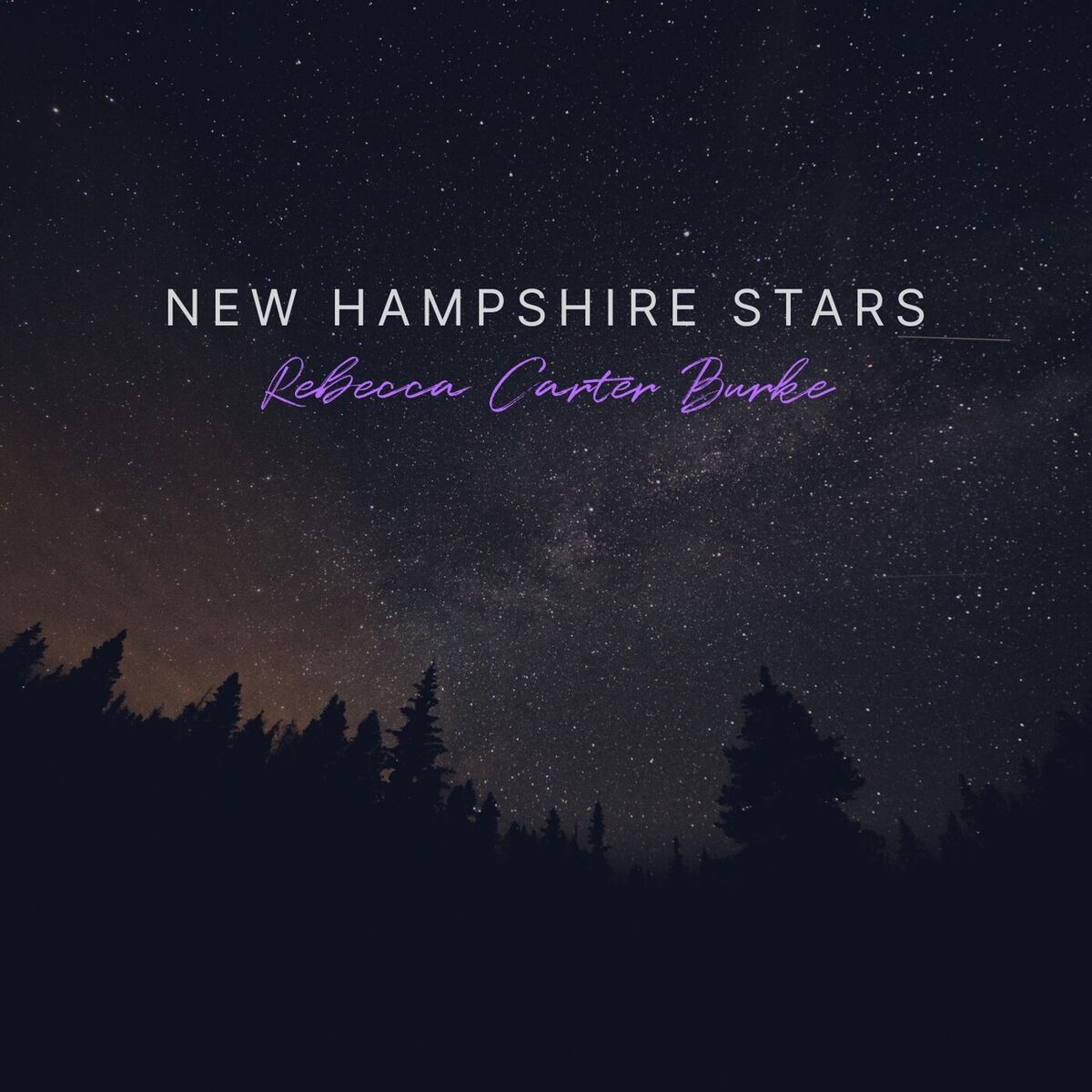 Album cover of New Hampshire Stars