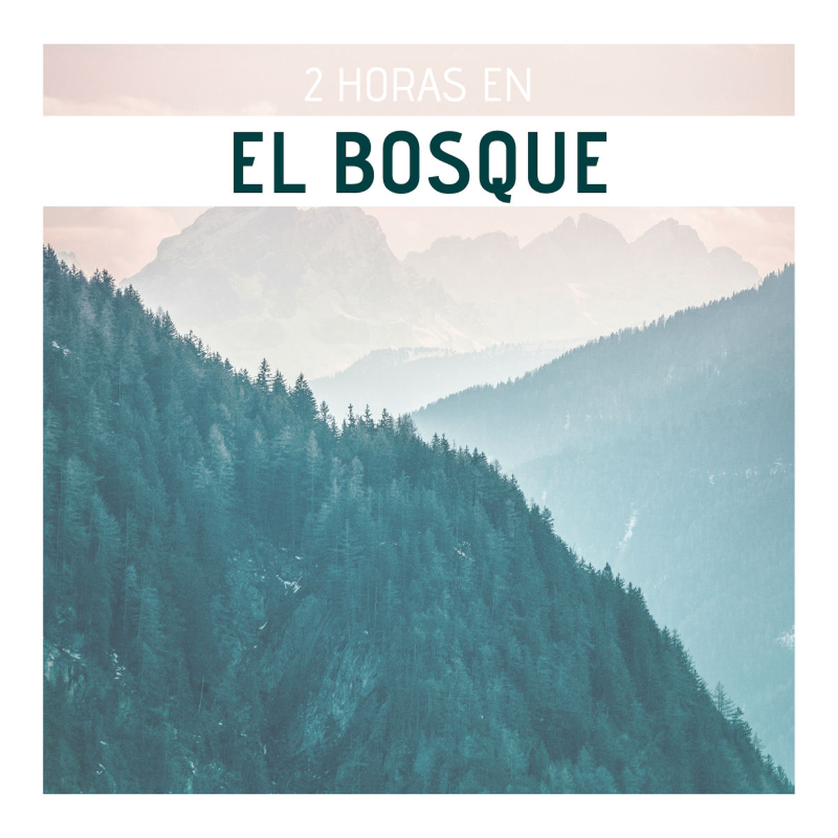 Album cover of 2 Horas en el Bosque - Música de Ambiente con Sonidos de la Naturaleza