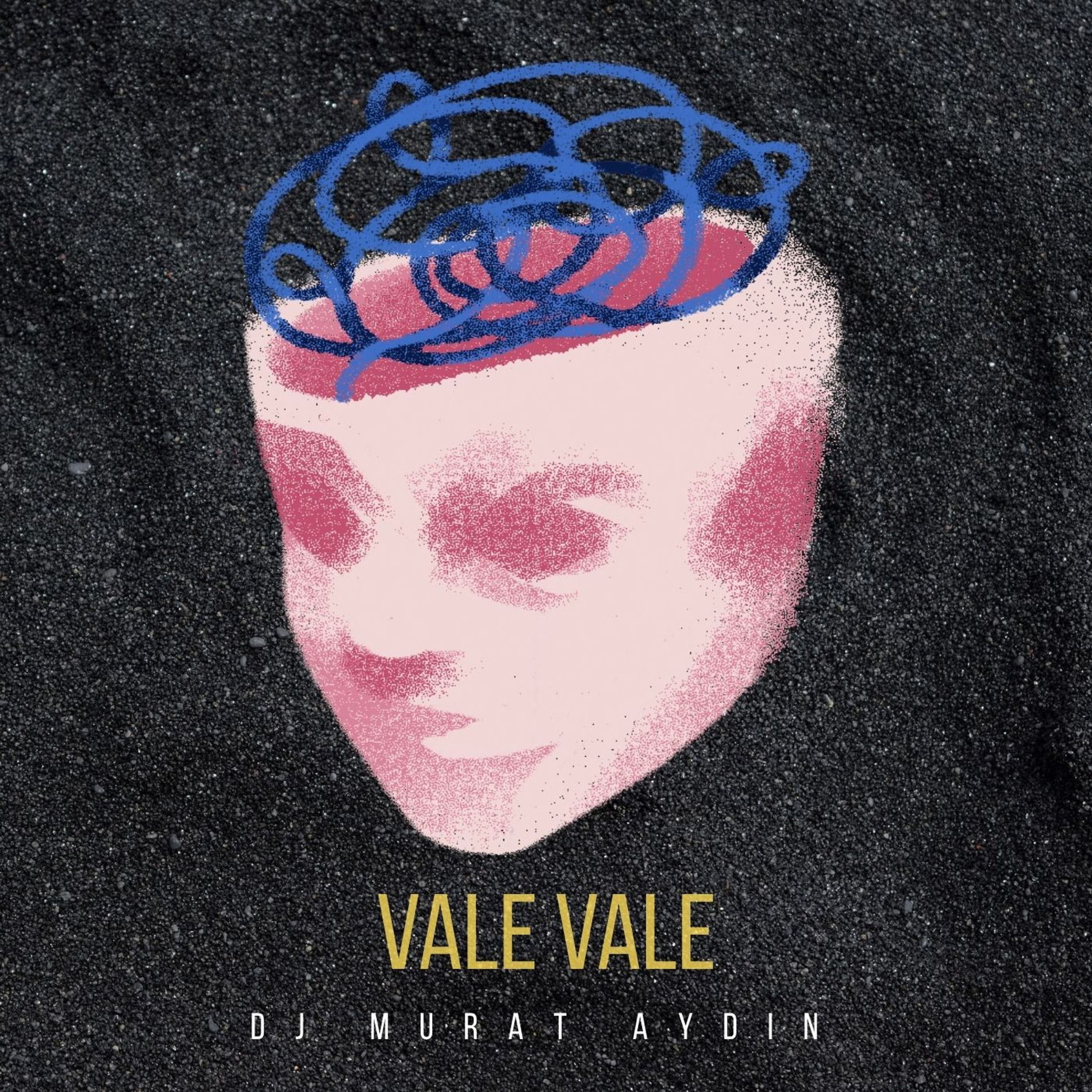 Album cover of Vale Vale