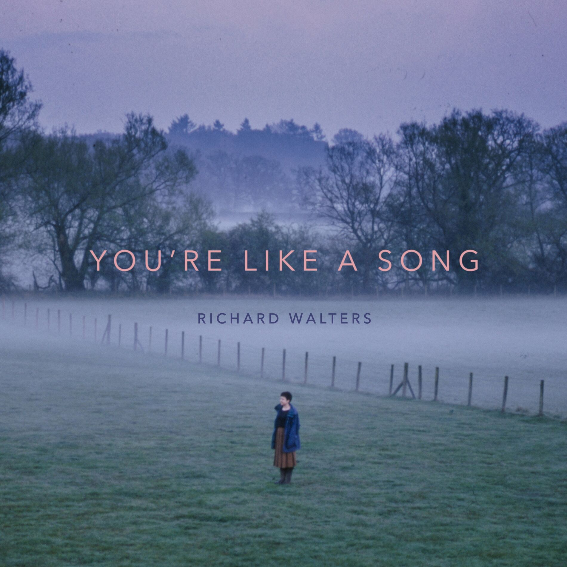 Album cover of You're Like a Song
