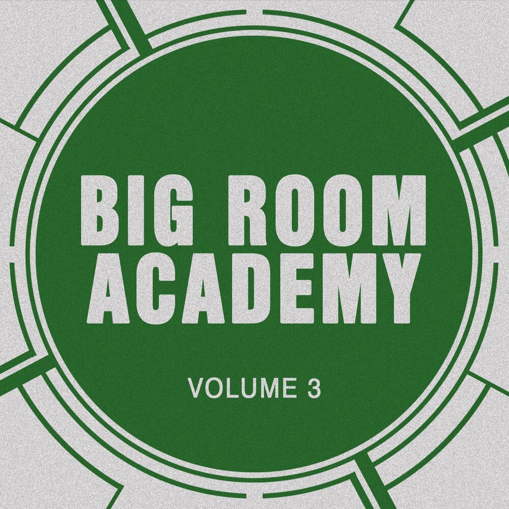 Picture of Big Room Academy, Vol. 3