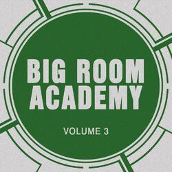 Cover of Big Room Academy, Vol. 3