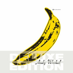 Cover of The Velvet Underground & Nico 45th Anniversary (Deluxe Edition)
