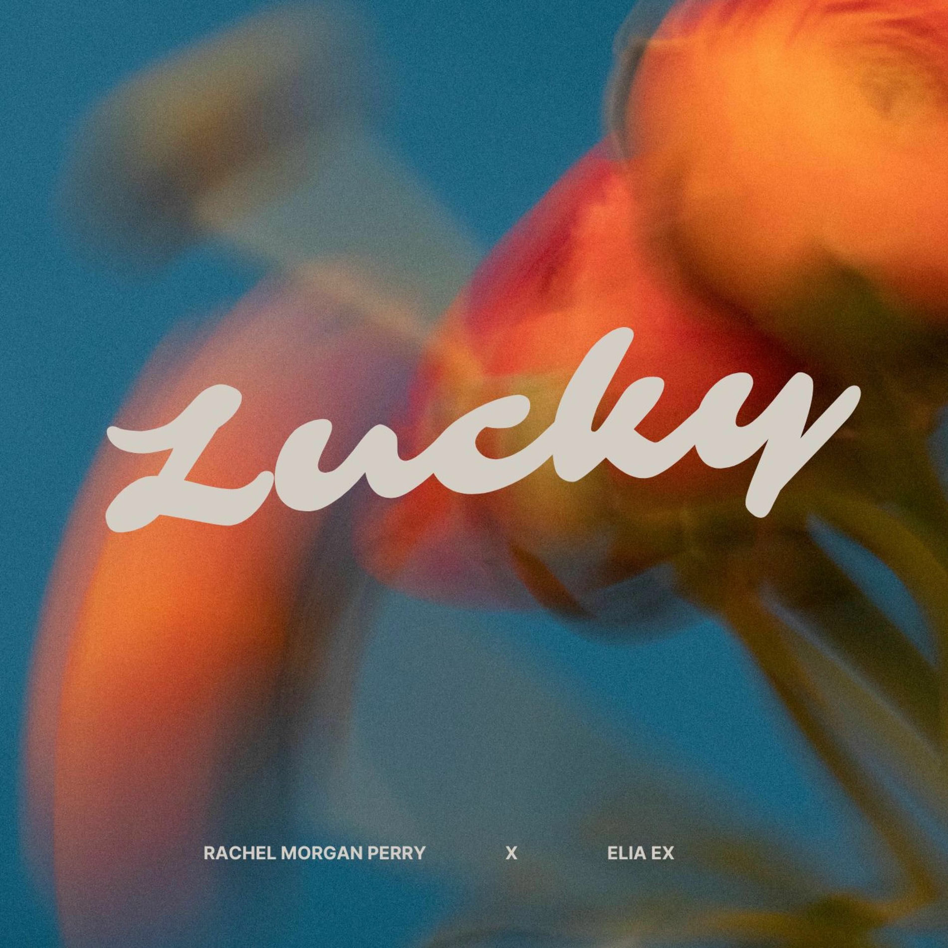 Album cover of Lucky