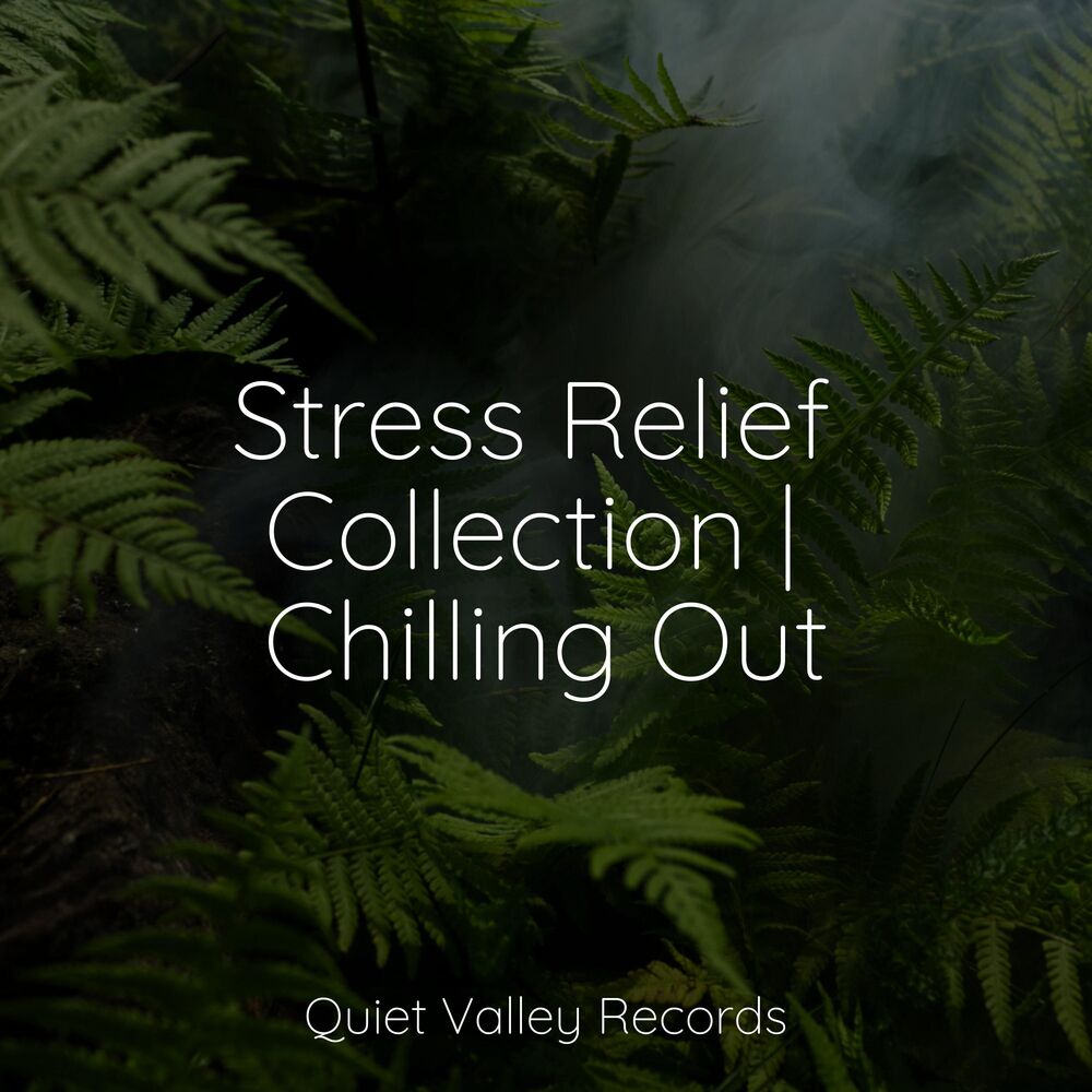 Picture of Stress Relief Collection | Chilling Out