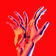 United by Nordfold album cover