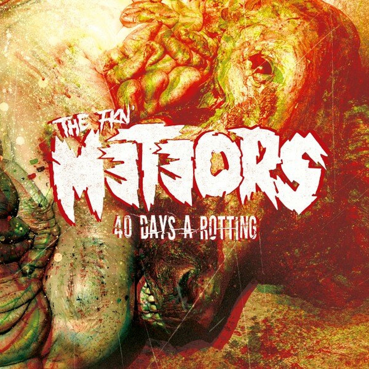 Album cover of 40 Days a Rotting