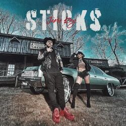 Cover of STICKS