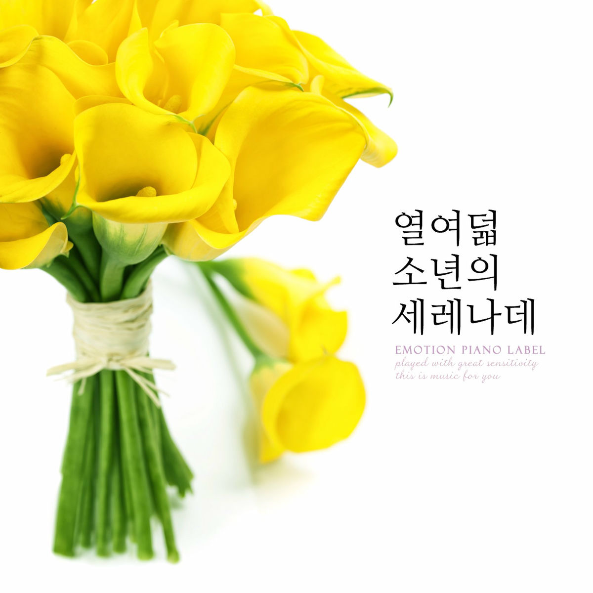 Album cover of 열여덟 소년의 세레나데 Eleventh Boys' Serenade