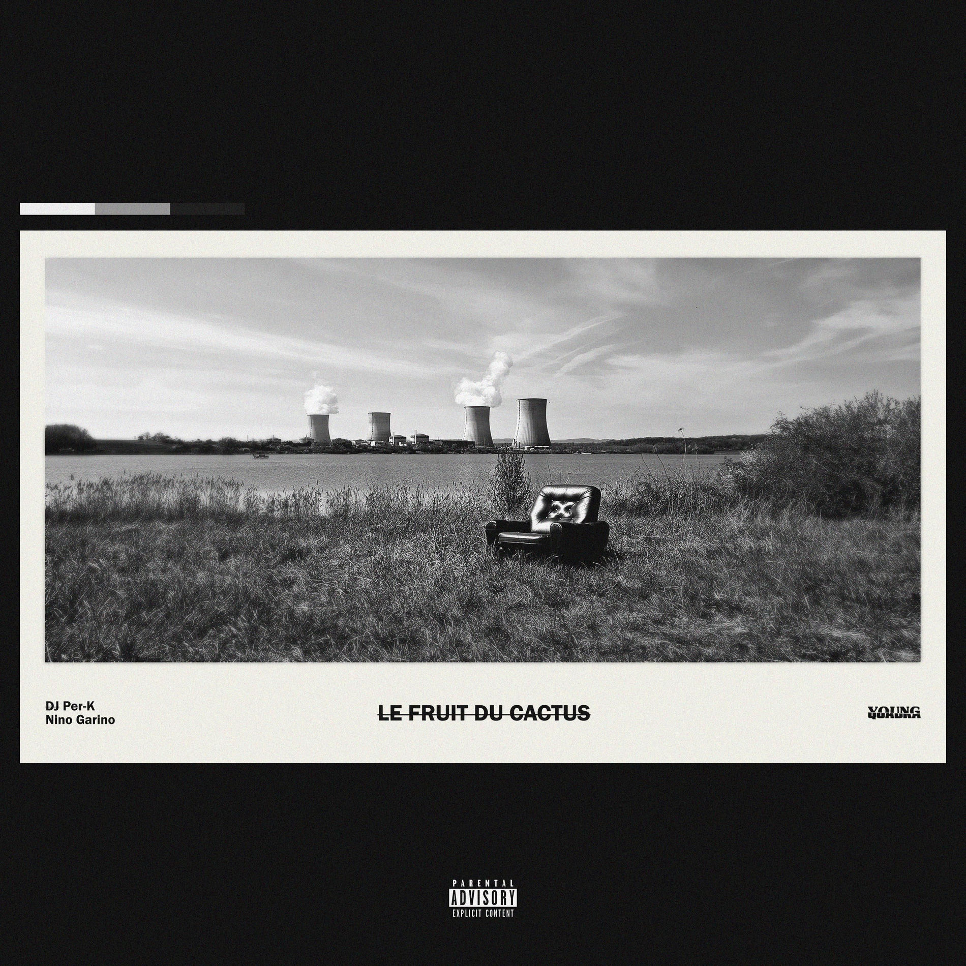 Album cover of Le fruit du cactus