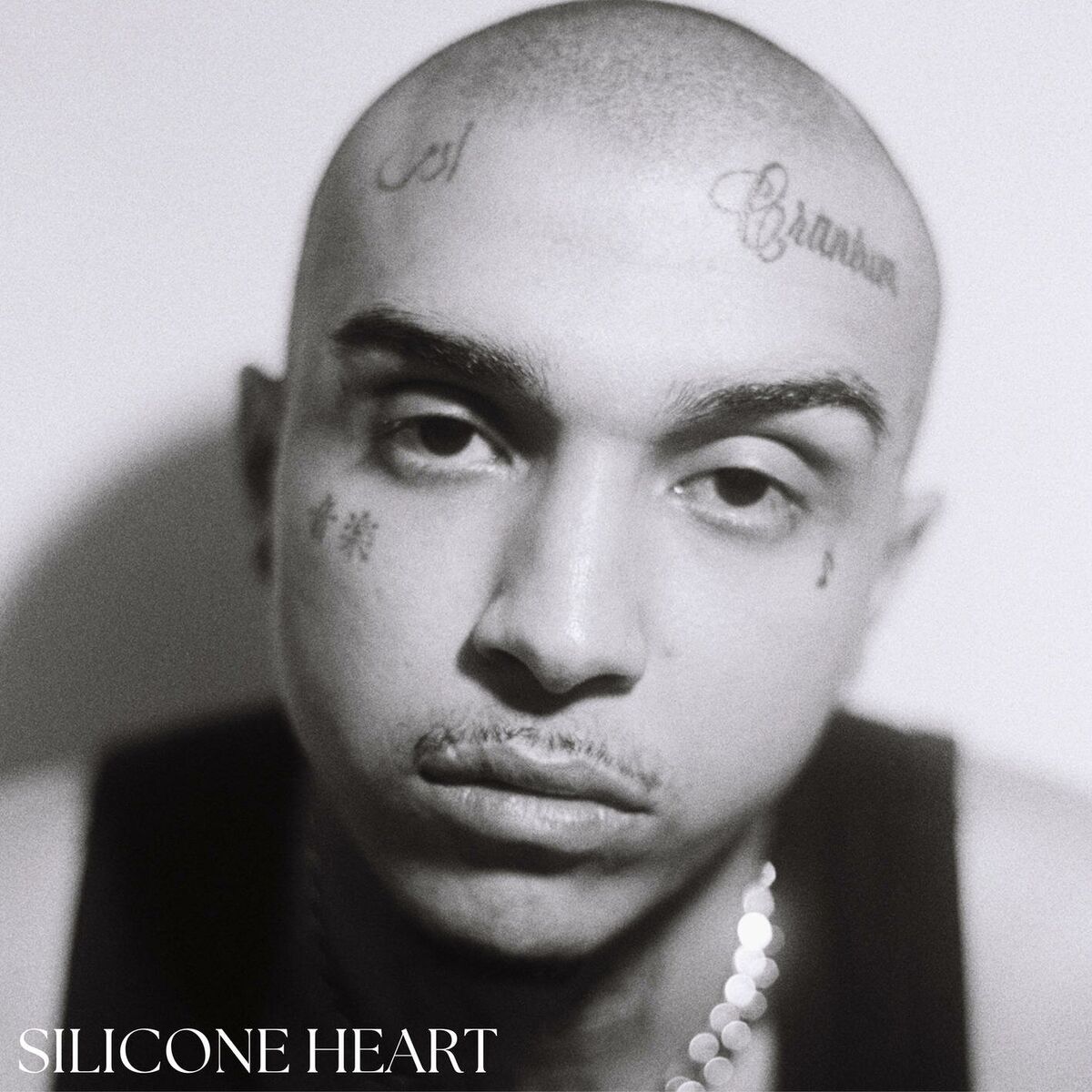 Album cover of Silicone Heart