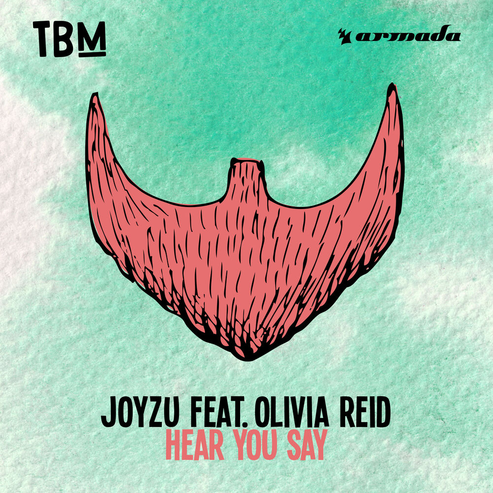 Picture of Hear You Say