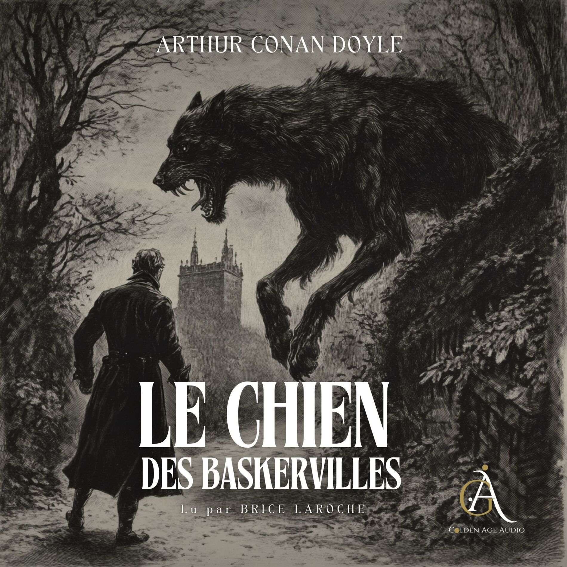 Album cover of Chapter 01 - Le Chien des Baskerville. Sherlock Holmes - Livre Audio