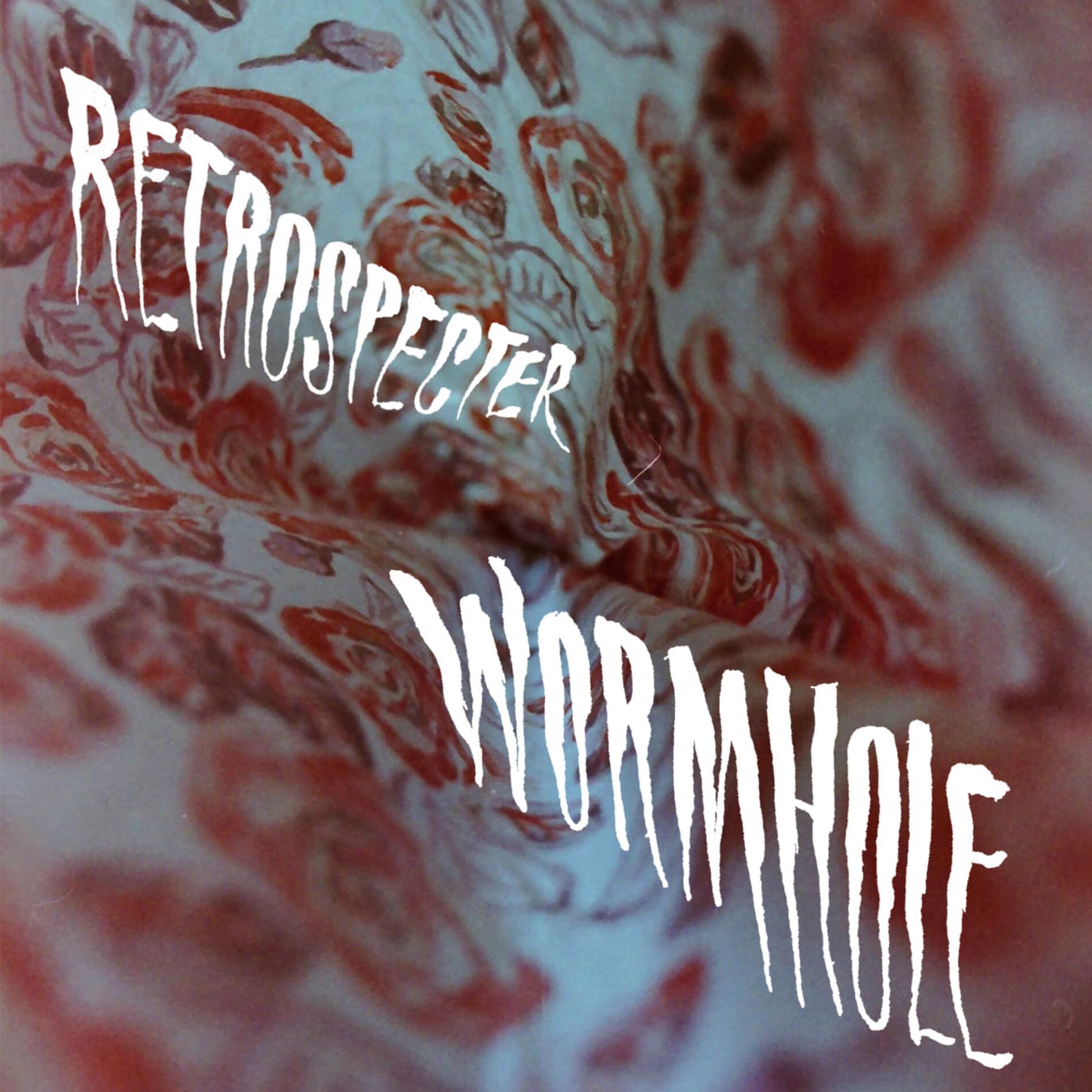 Album cover of Wormhole