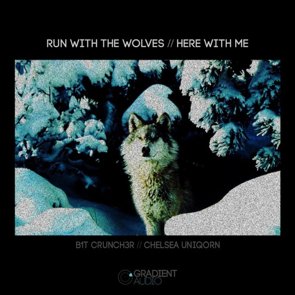 Picture of Run With The Wolves / Here With Me