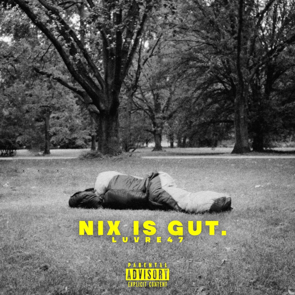Album cover of NIX IS GUT - EP