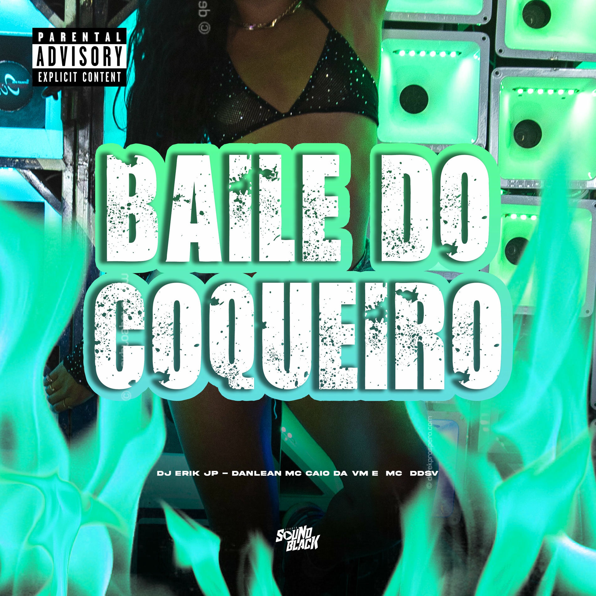 Album cover of Baile do Coqueiro