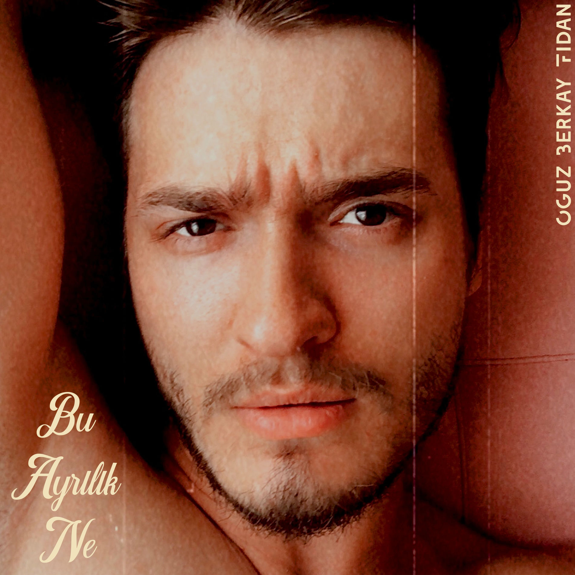 Album cover of Bu Ayrılık Ne