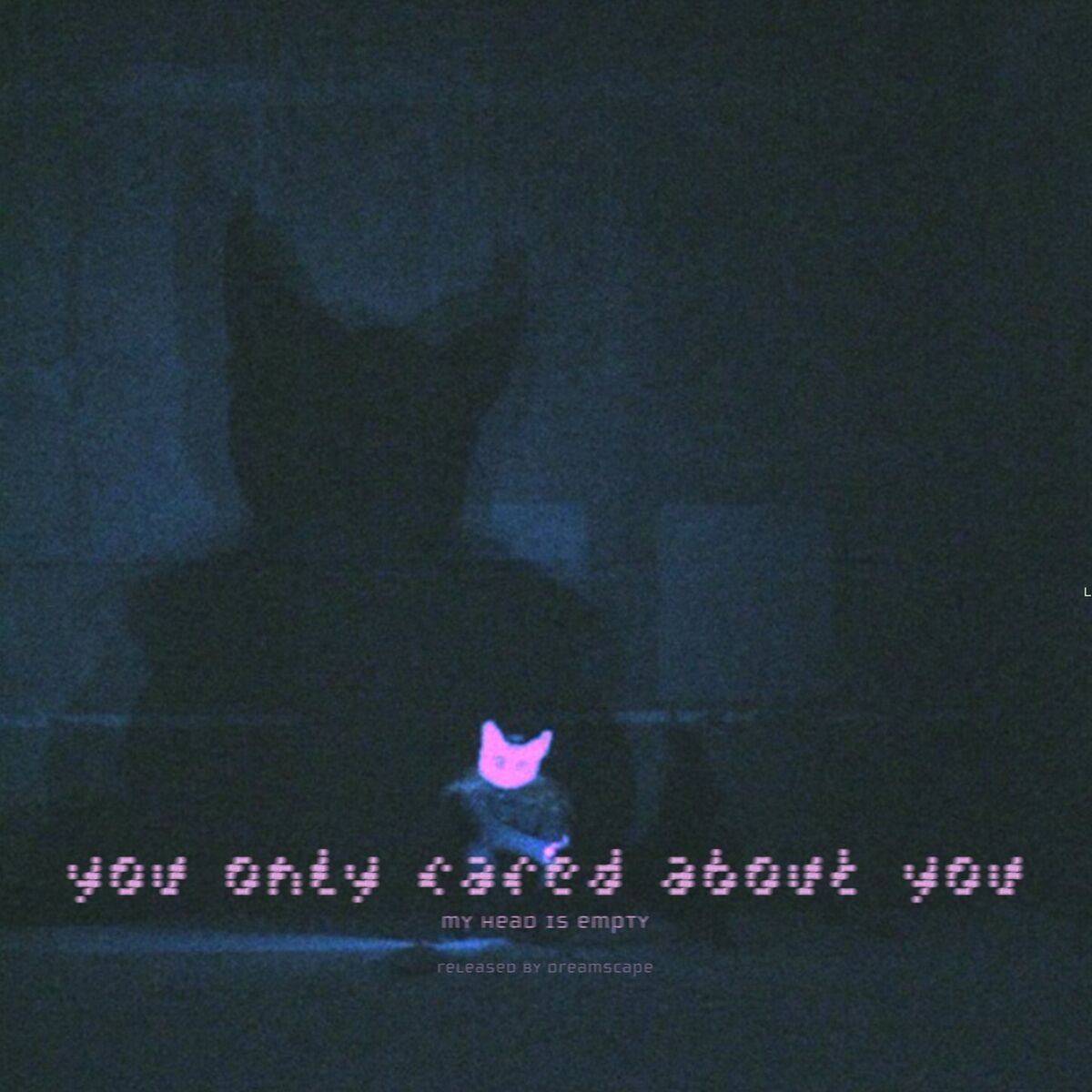 Album cover of you only cared about you (pitched up)