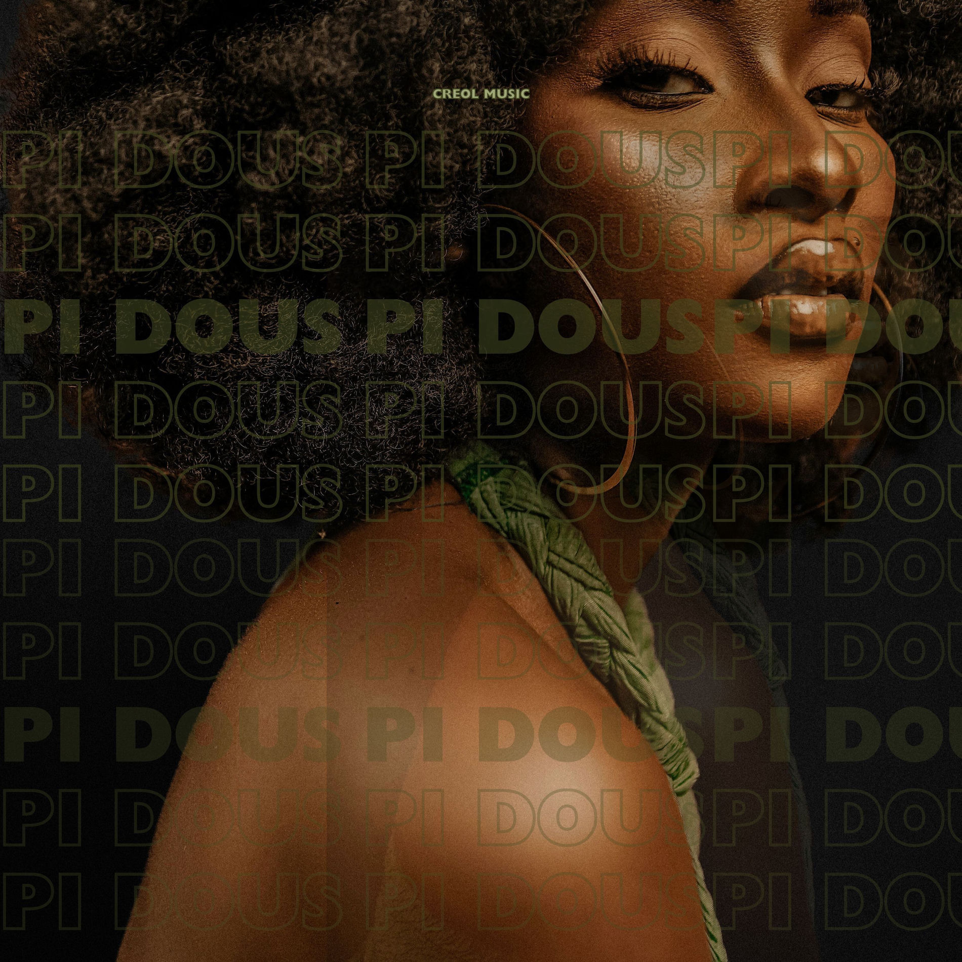 Album cover of Pi dous