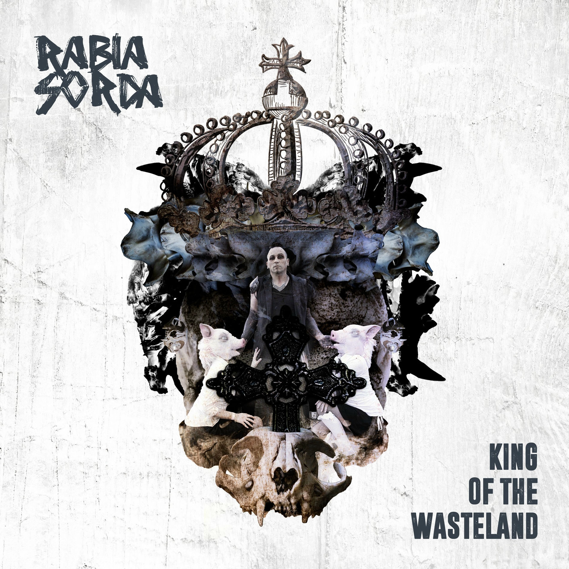 Album cover of King of the Wasteland