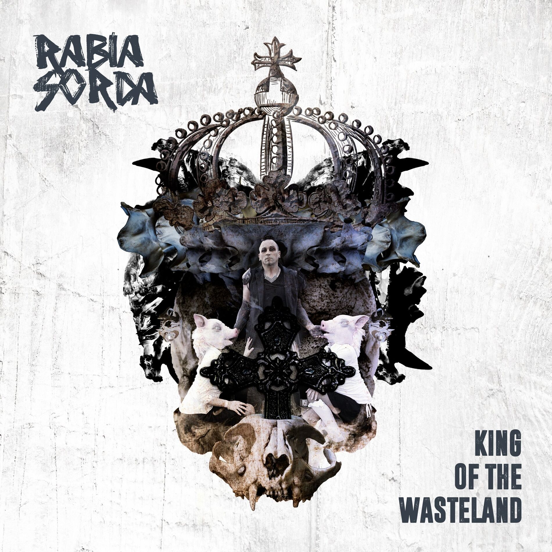Album cover of King of the Wasteland