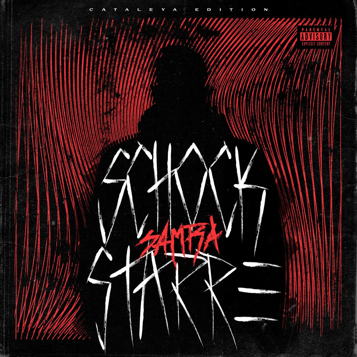 Album cover of Schockstarre