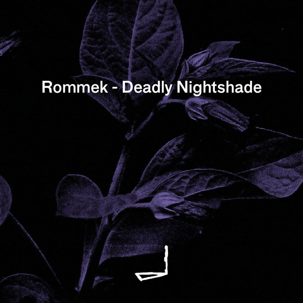 Picture of Deadly Nightshade