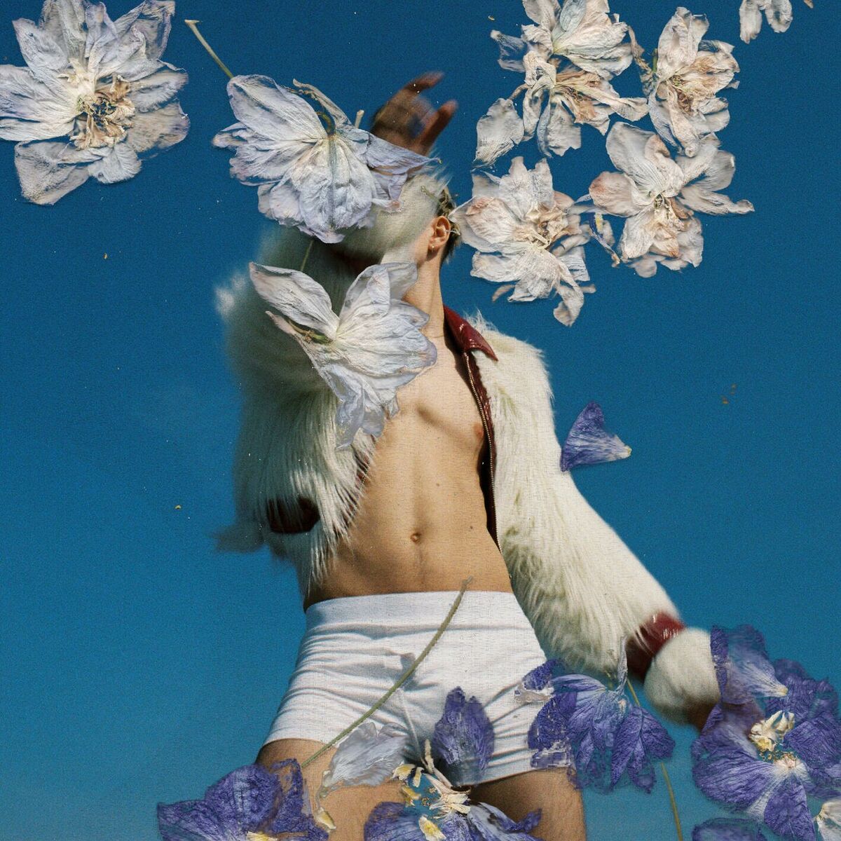 Album cover of noch nie (wie jetzt)
