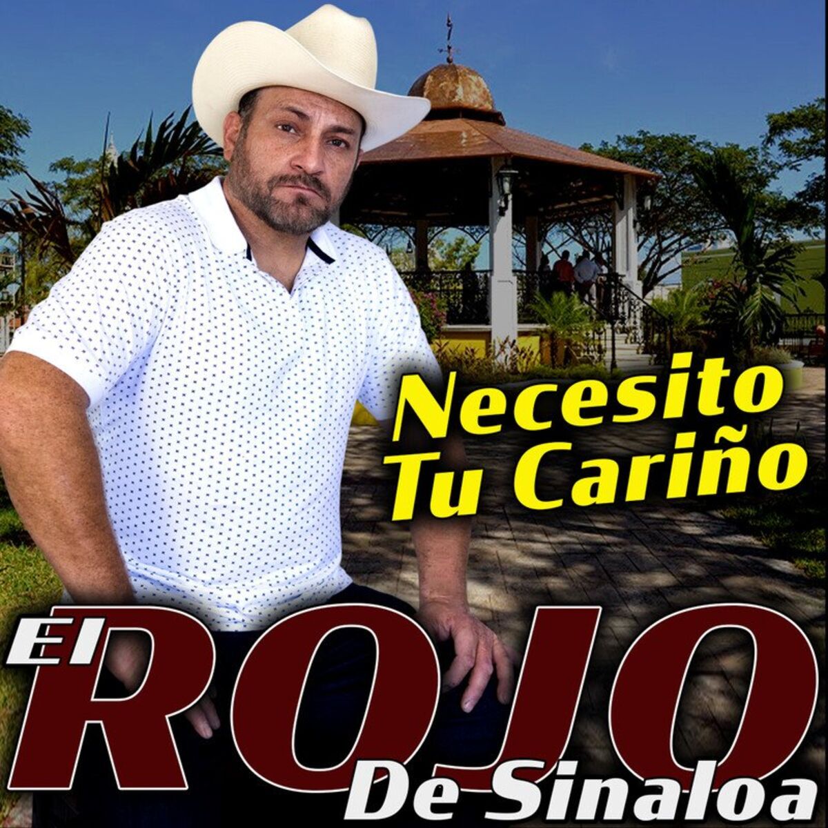 Album cover of Necesito Tu Cariño