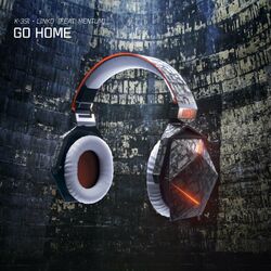 Cover of Go Home