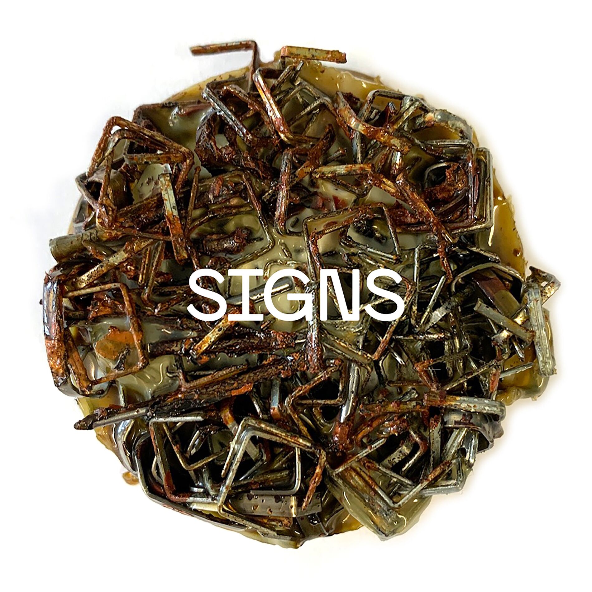 Album cover of Signs (feat. Lyves)