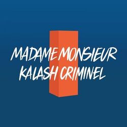 Cover of Comme si j'avais mille ans