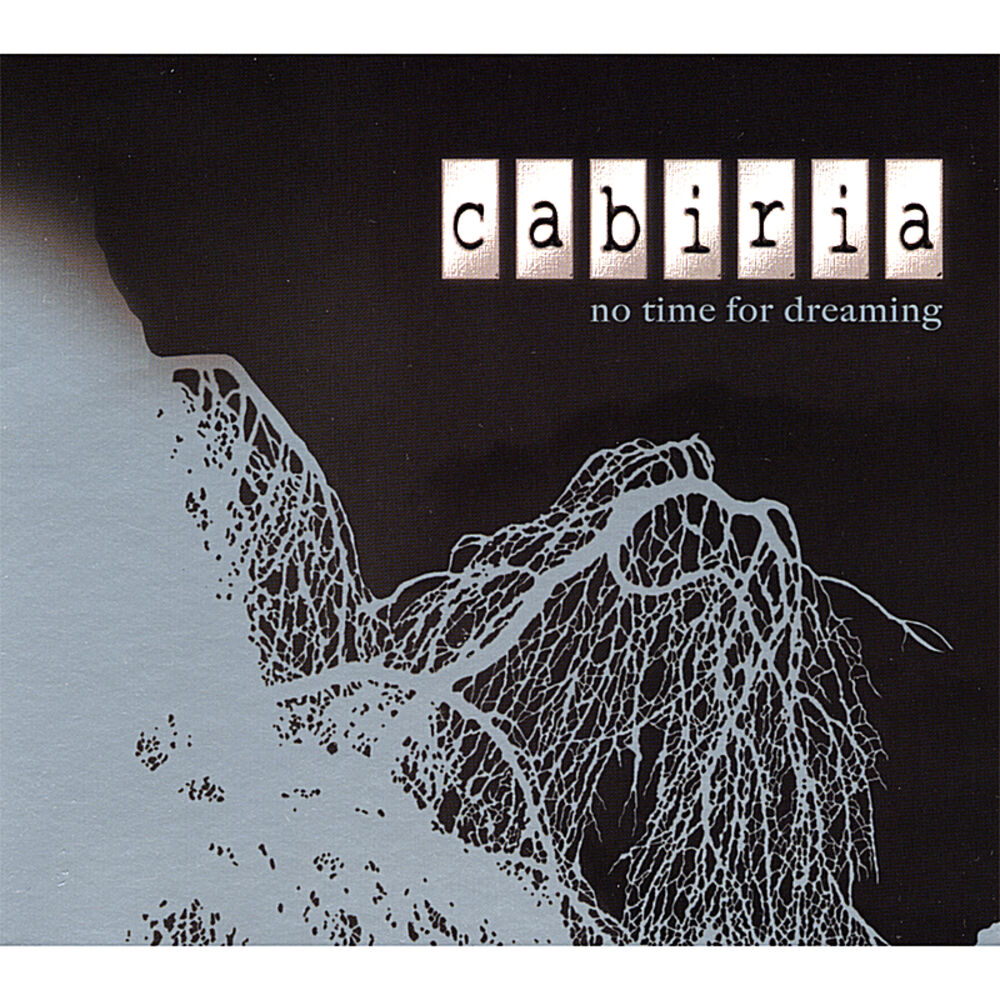 Picture of No Time for Dreaming
